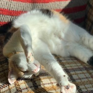 Meet your Posher, Alexy